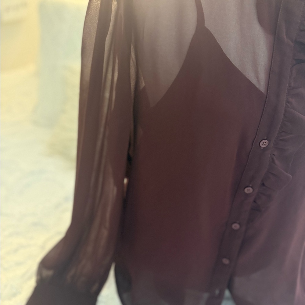 Banana Republic Burgundy Sheer Blouse and Tank - Picture 5 of 9